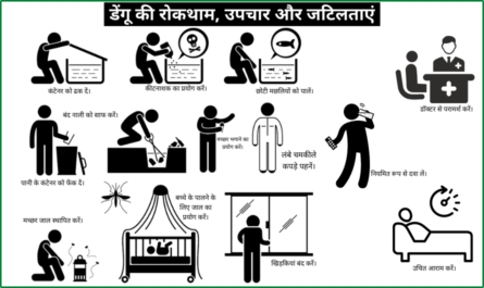 Dengue Fever Prevention in Hindi