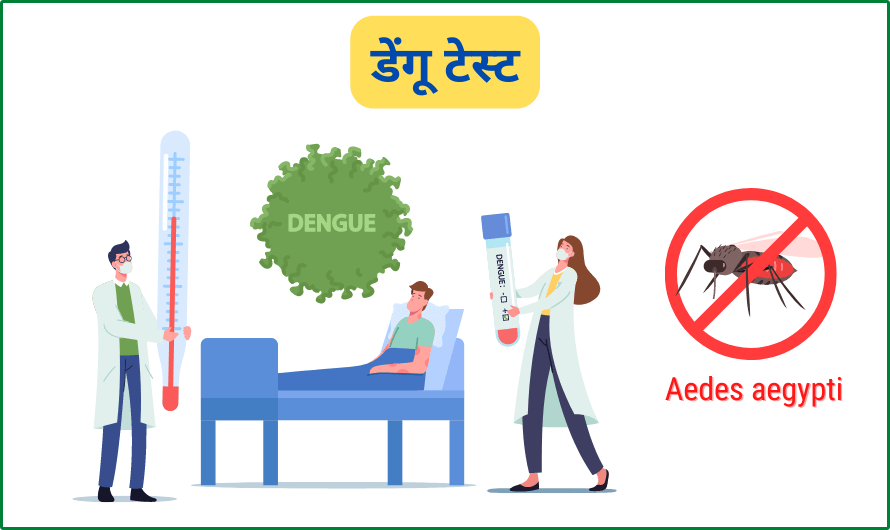 Dengue Test in Hindi