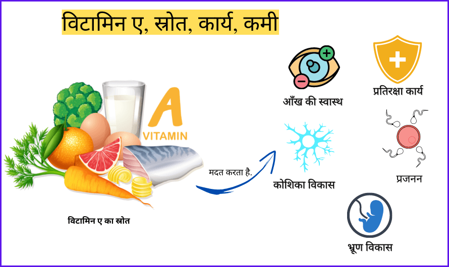 Vitamin A, Function, Sources, Benefits And Deficiency