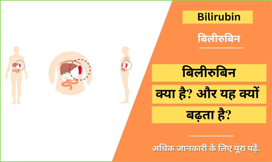 Bilirubin in Hindi