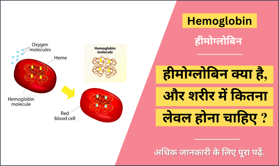 Hemoglobin in Hindi