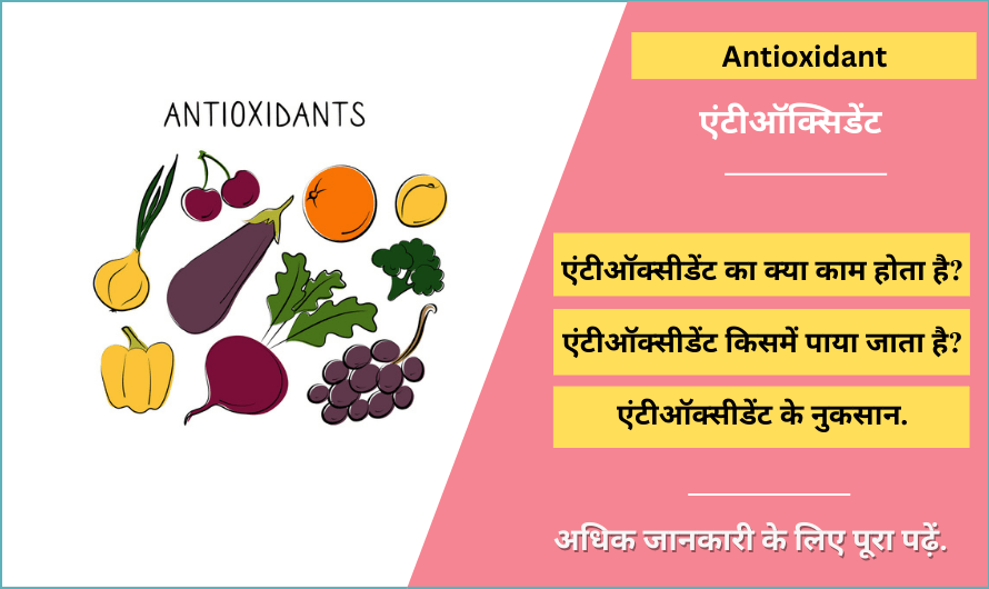 Antioxidant Meaning in Hindi