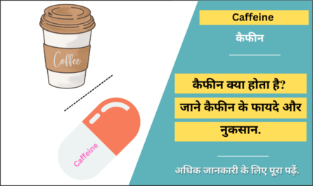 Caffeine in Hindi