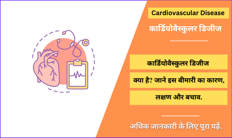 essay on heart disease in hindi