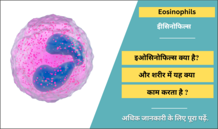 Eosinophils in Hindi
