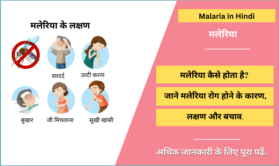 मलेरिया – Malaria in Hindi