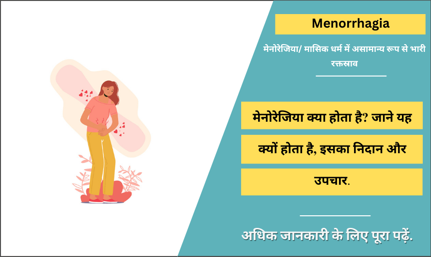 Menorrhagia Meaning in Hindi