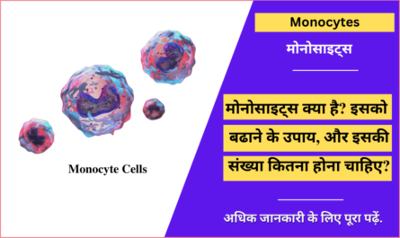 Monocytes in Hindi