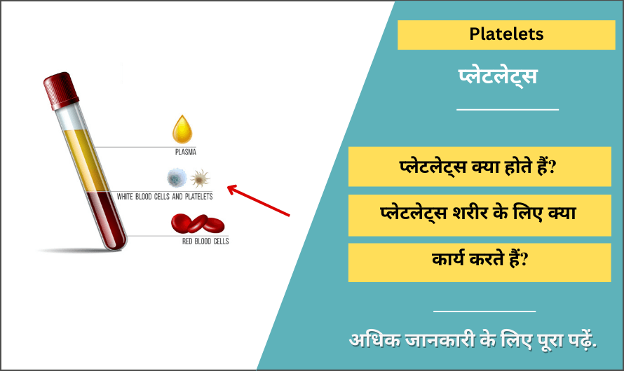 Platelets in Hindi