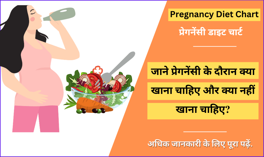 Pregnancy Diet Chart in Hindi