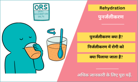 Rehydration Meaning in Hindi