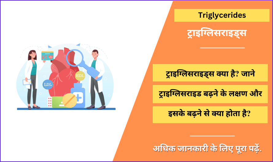Triglycerides in Hindi