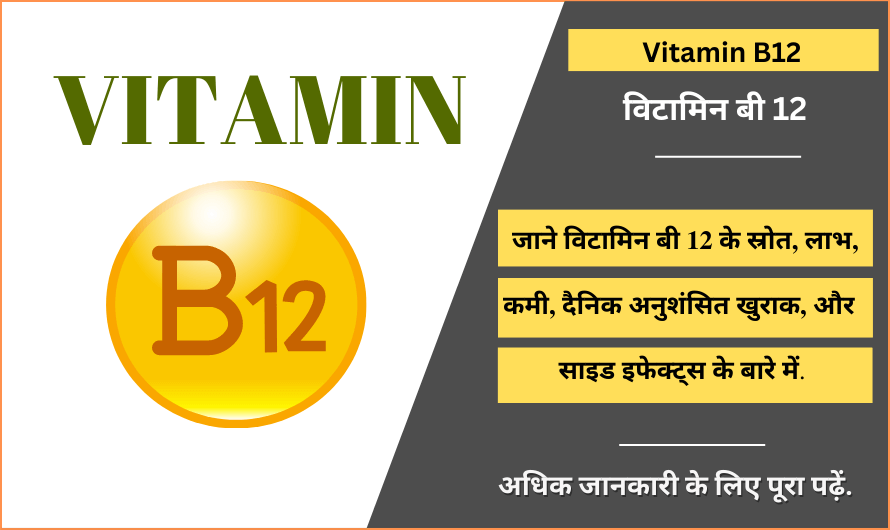 Vitamin b12 in Hindi