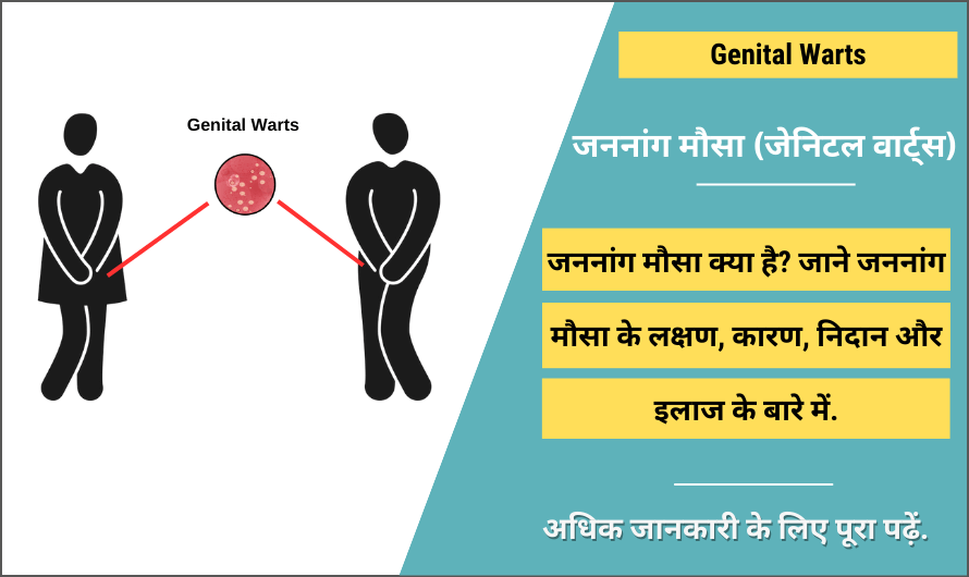जननांग मौसा (जेनिटल वार्ट्स) – Genital Warts in Hindi