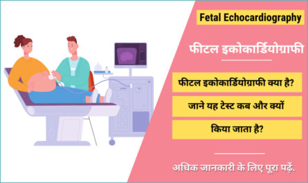 Fetal Echocardiography in Hindi