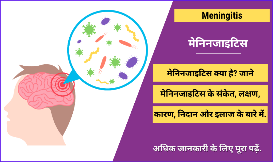 Meningitis in Hindi