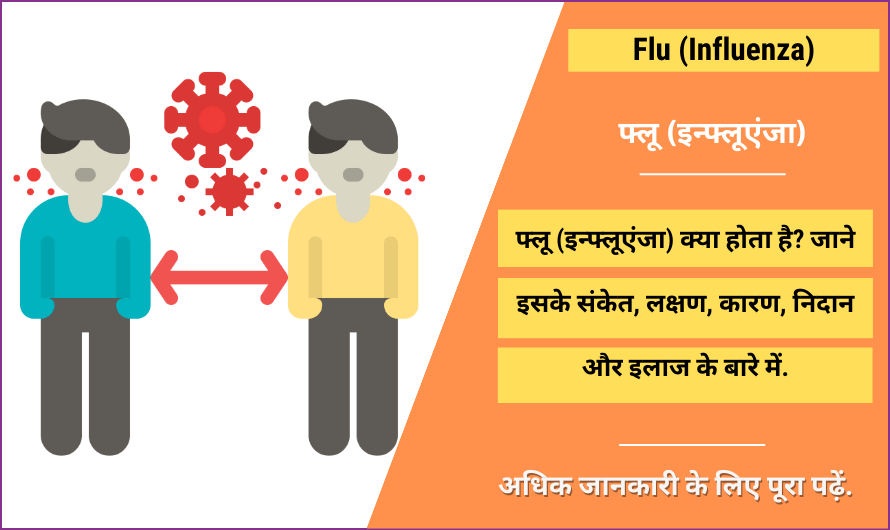 Flu (influenza) in Hindi