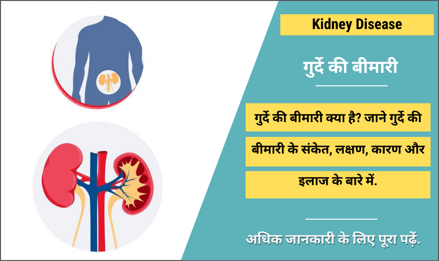 Kidney Disease in Hindi